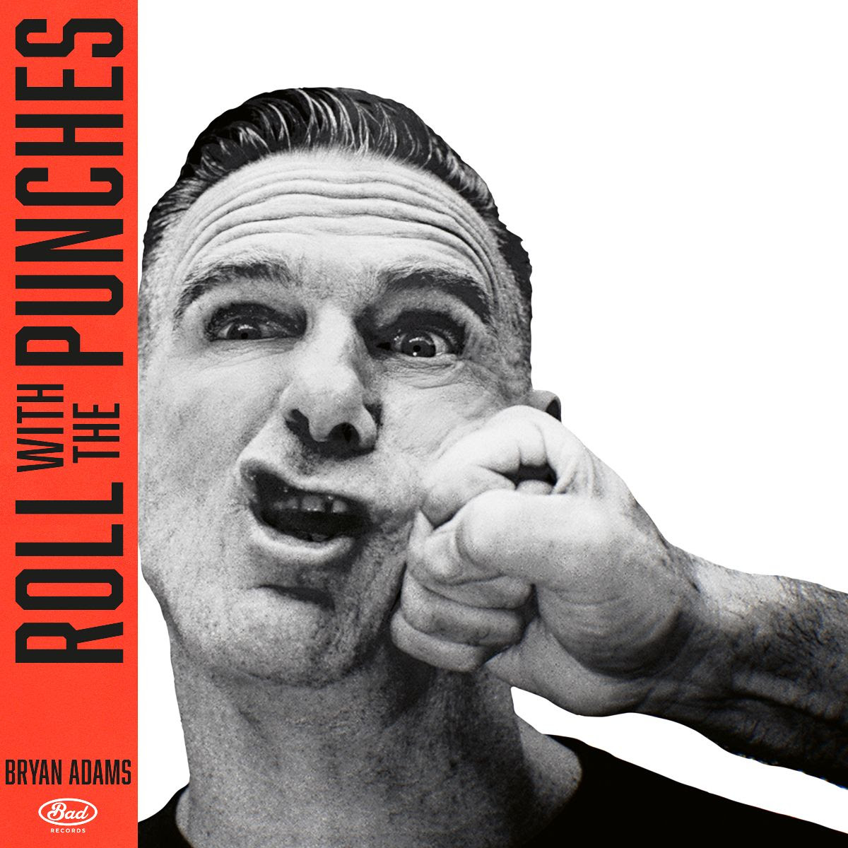 bryan-adams-roll-with-the-punches